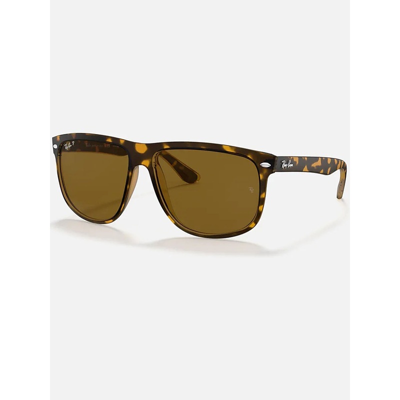RB4147 Polarized Sunglasses