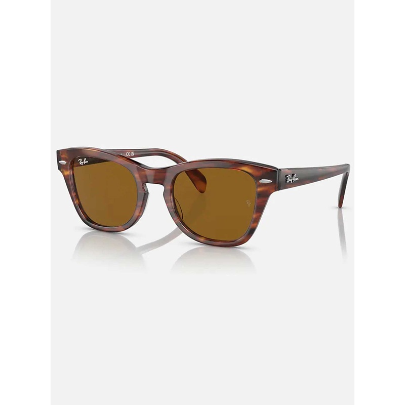 RB0707S Sunglasses