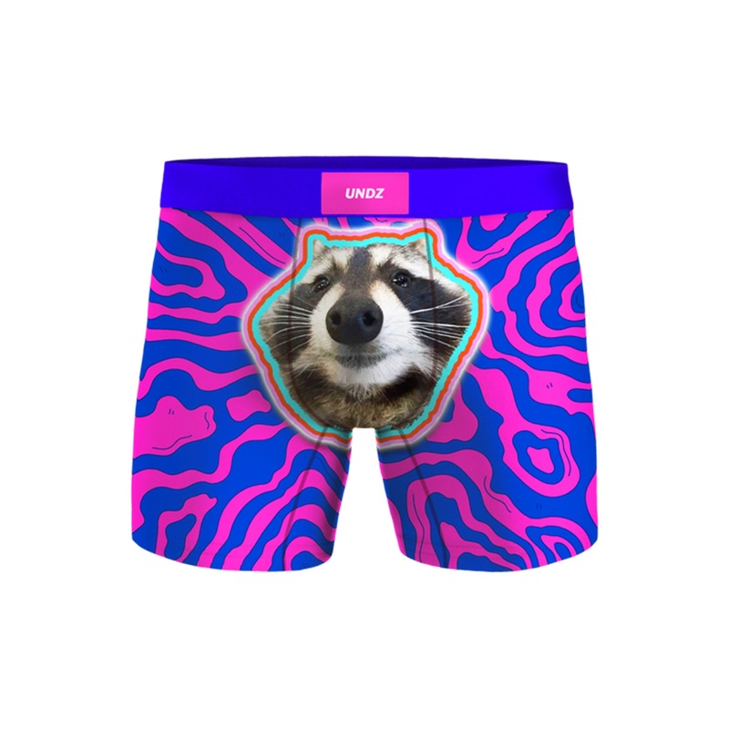 Classic Raton Boxer