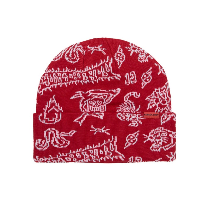 Flash Beanie