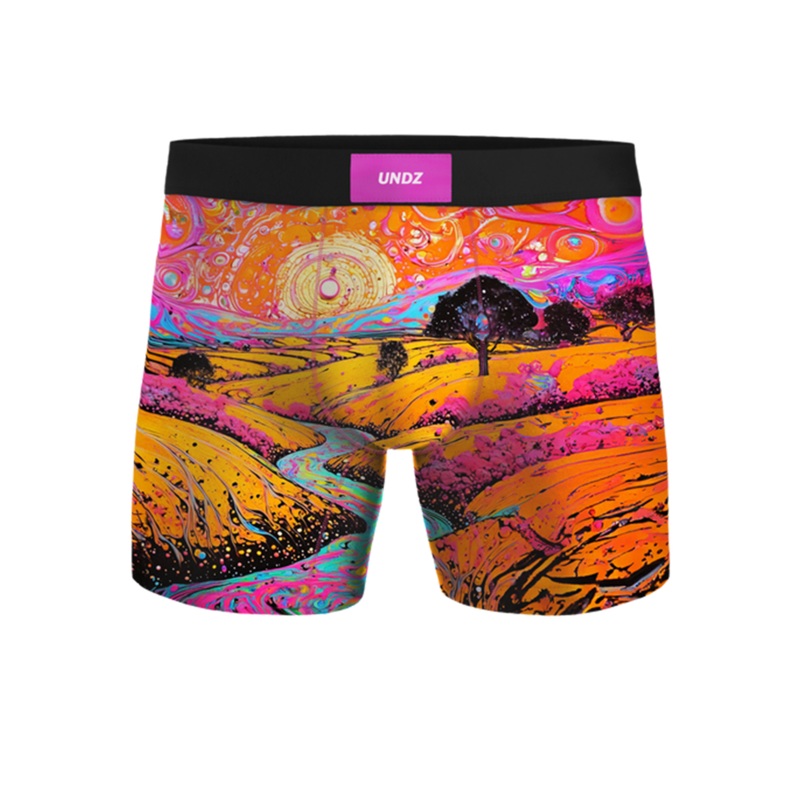 Abstract Art Classic Boxers