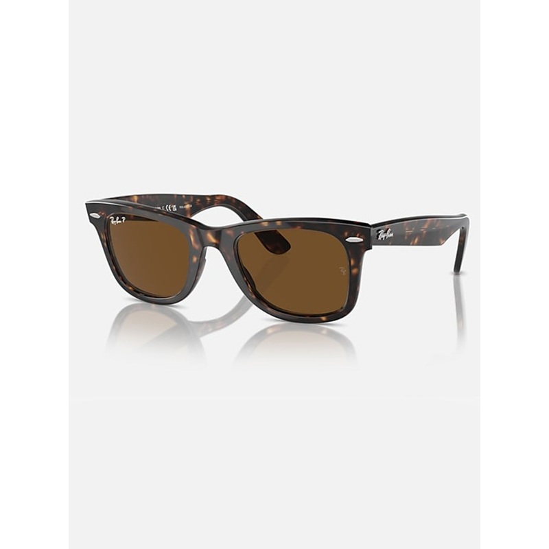 Wayfarer Tortoise/Brown Polarized Sunglasses