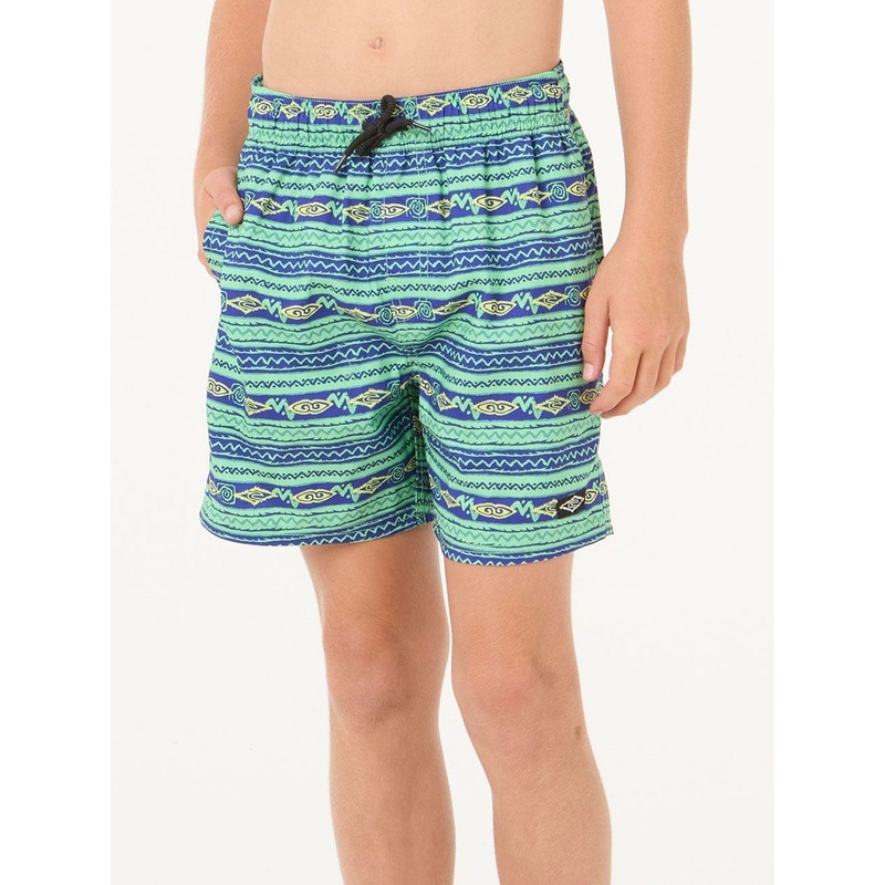 Raw Energy Stripe Volley Boardshorts (Boys 7-14)