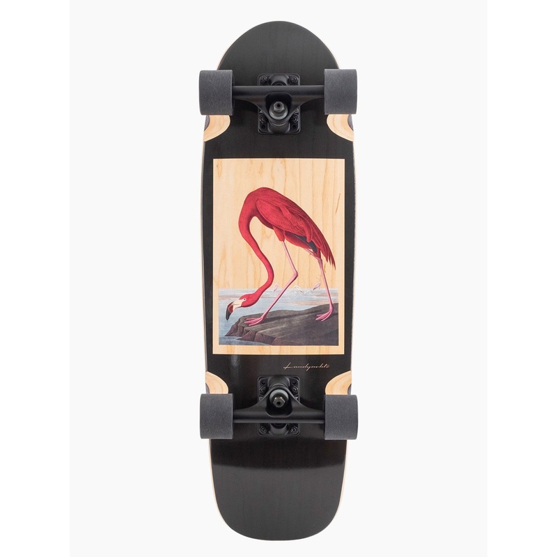 Dinghy Blunt Flamingo Complete Cruiser